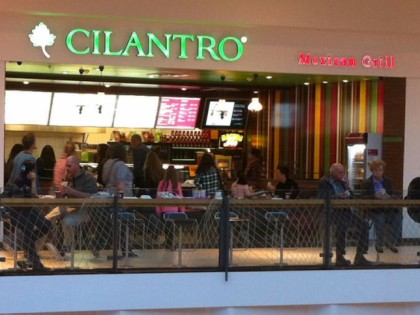 Photo: Cilantro